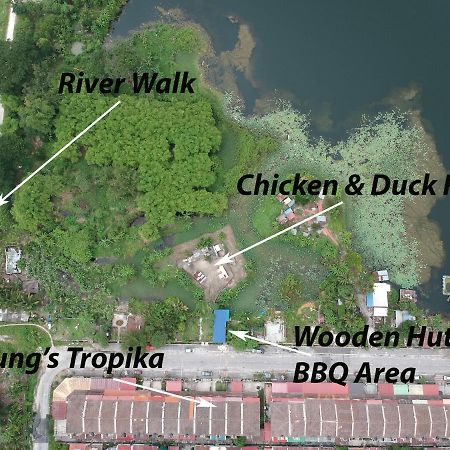 Tung'S Tropika - With A Wooden Hut By A Lake Ipoh Eksteriør bilde